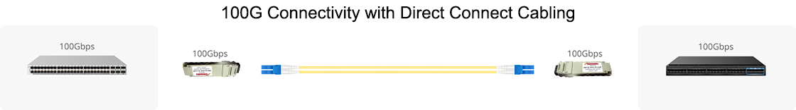 100G Connectivity with Direct Connect Cabling